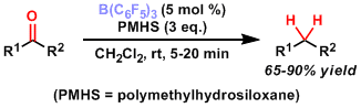 TPFB_2.gif
