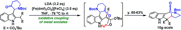 actinophylllic_2.gif