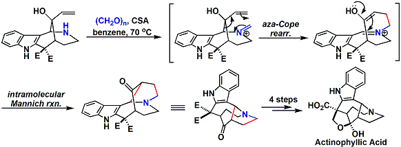 actinophylllic_3.gif