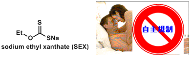 adult_mol_3.gif