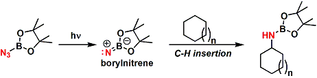 borylazide_1.gif