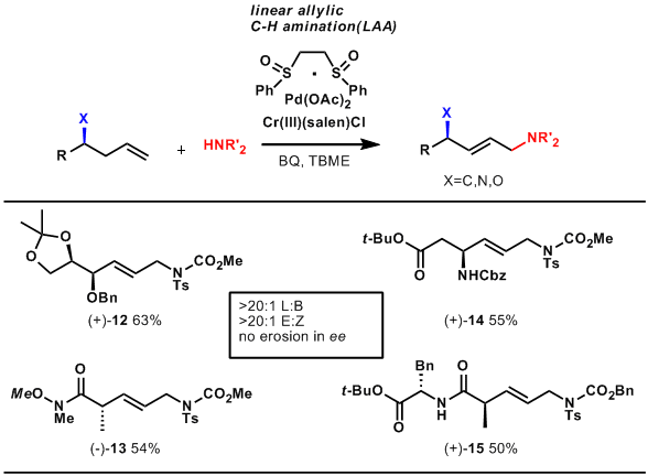 c-hamination2.gif