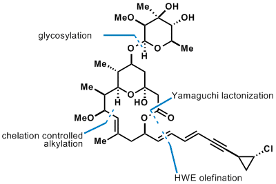 callipeltoside1.gif