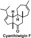 cyanthiwiginF_1.gif