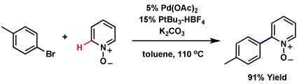 fagnou_3.gif