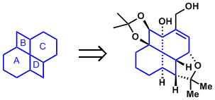 fenestrene1.gif