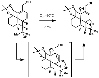 fenestrene3.gif