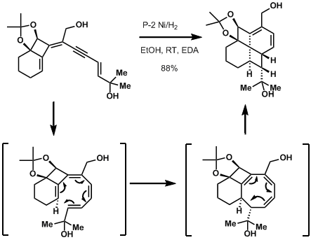 fenestrene2.gif