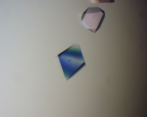 flickr_5_1.jpg