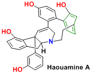 haouamineA.gif