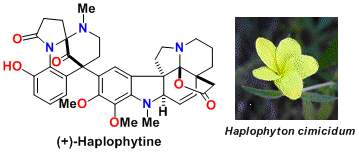 haplophytine_1.gif