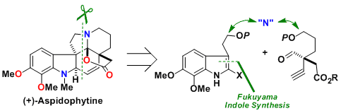 haplophytine_2.gif