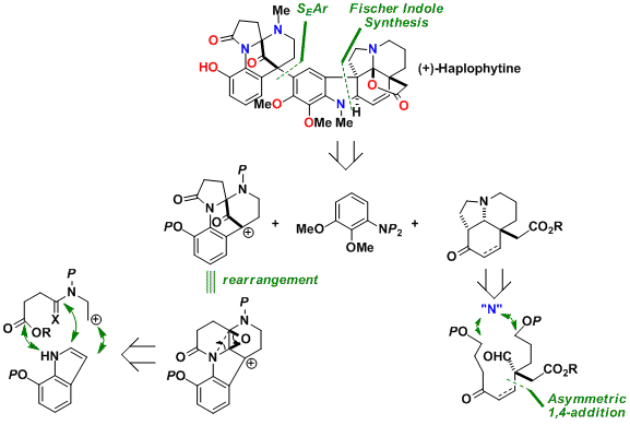 haplophytine_3.gif