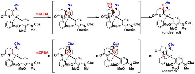 haplophytine_4.gif