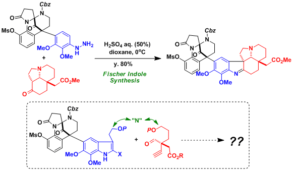 haplophytine_6.gif
