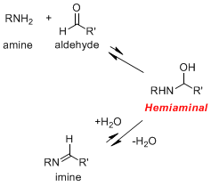 hemiaminal2.gif