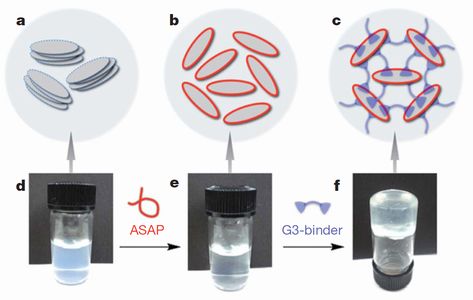 hydrogel1.jpg