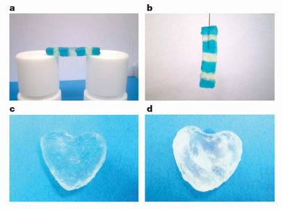 hydrogel2.jpg