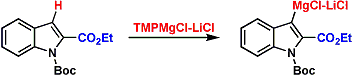 knochel.gif