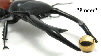 ligand_name.gif