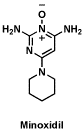 minoxidilgif.gif