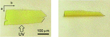 photocrystal_6.gif