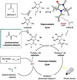 photoredox_macmillan_2.gif