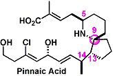 pinnaic_acid1.gif