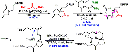 pinnaic_acid2.gif