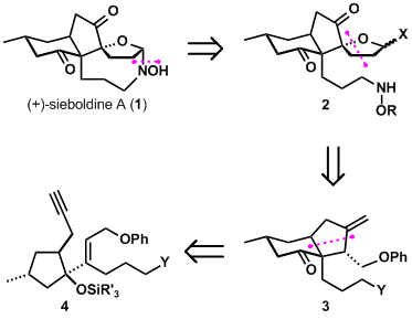 retrosynthesis1.gif