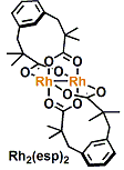rh2esp2.gif