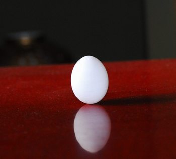 rissyunegg.jpg