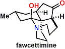 fawcettimine