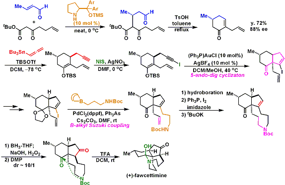 fawcettimine