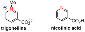 trigonelline.gif