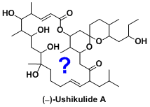 ushikulideA_1.gif