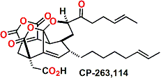 CP263_114.gif