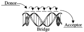 DNACT