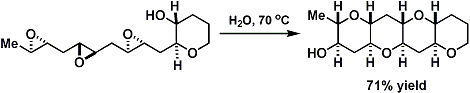 Jamison_polyether_3.gif