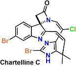 chartellineC.gif