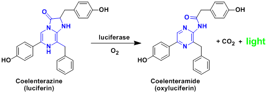 coelenterazine_1.gif