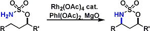 du_bois_amine_1.gif