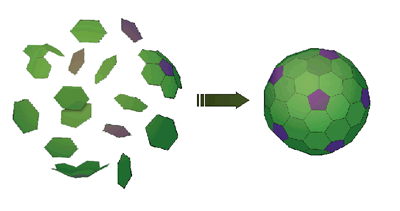 fujita_capsule2.gif