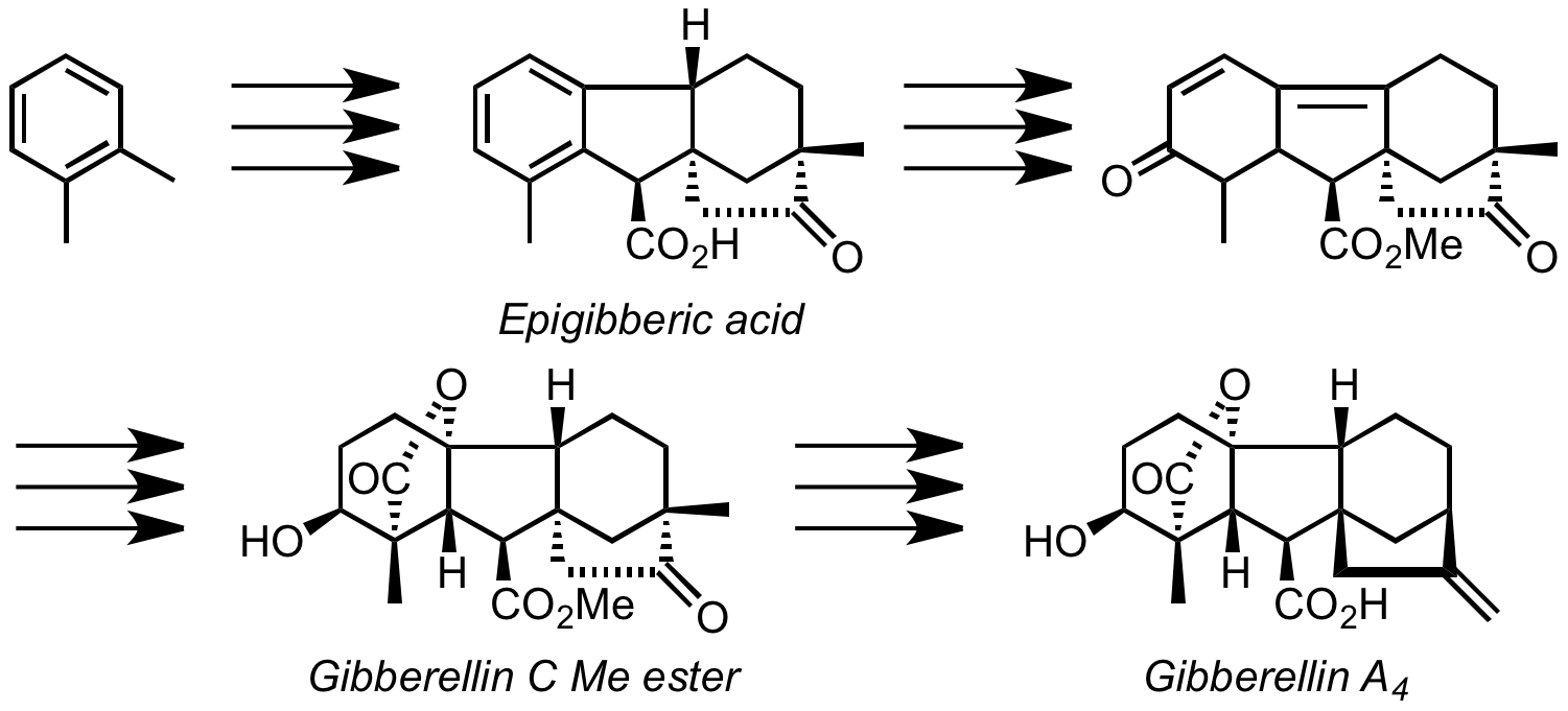 gibberellin.png