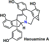 haouamineA.gif