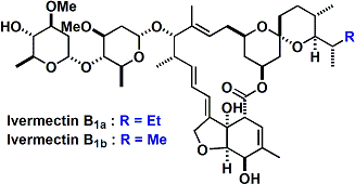 ivermectin.gif