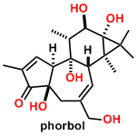 phorbol.gif
