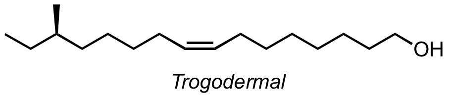 trogodermal.png