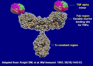 Infliximab_structure.jpg