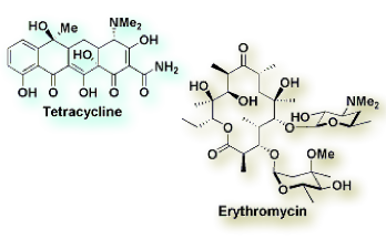 antibiotics3.png
